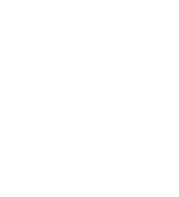 Logo pitto Alpha Davis